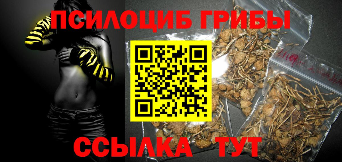 Псилоцибиновые грибы GOLDEN TEACHER Тюмень